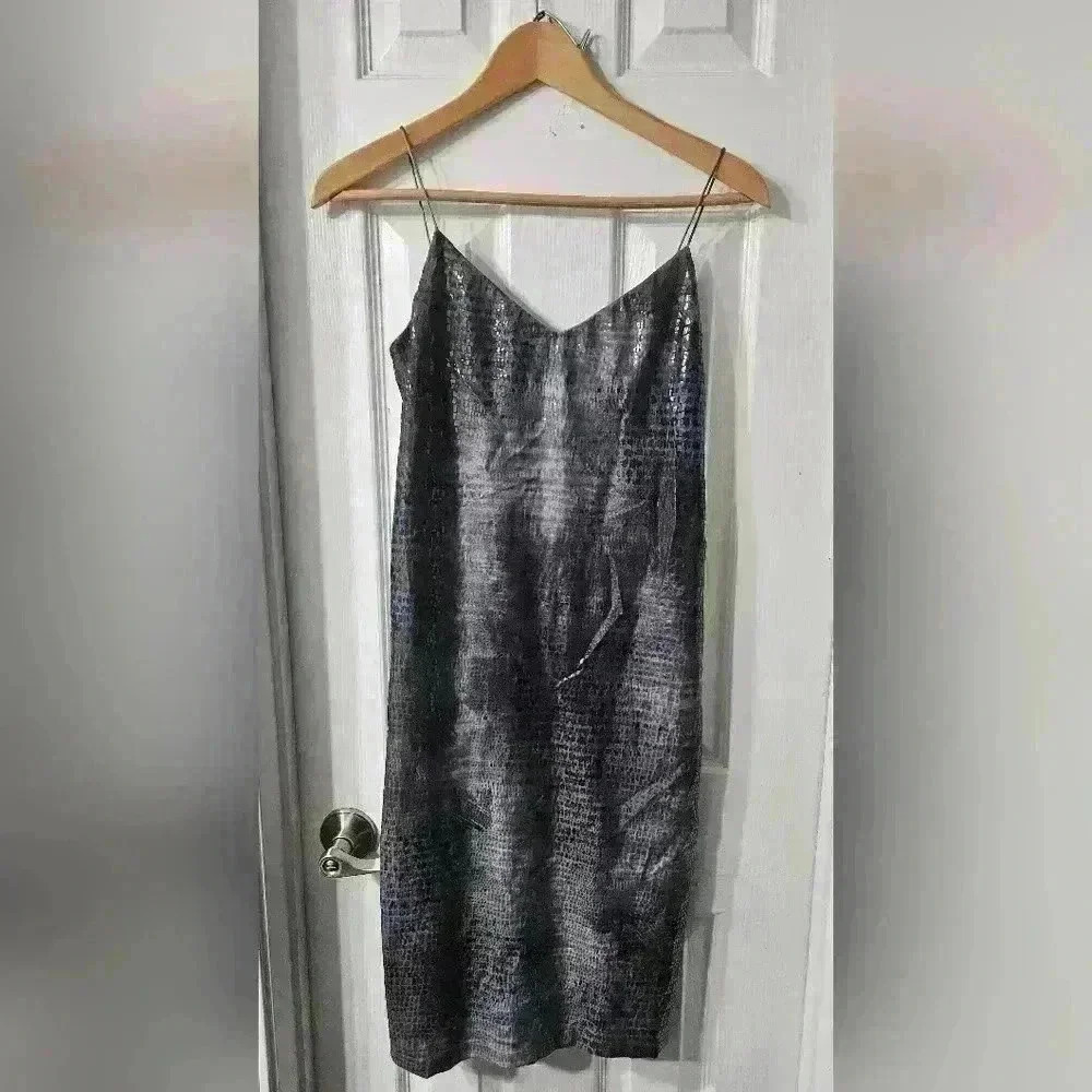 Lyndia Procanik Dress